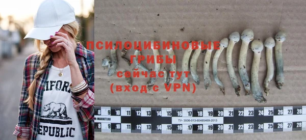mix Алексин